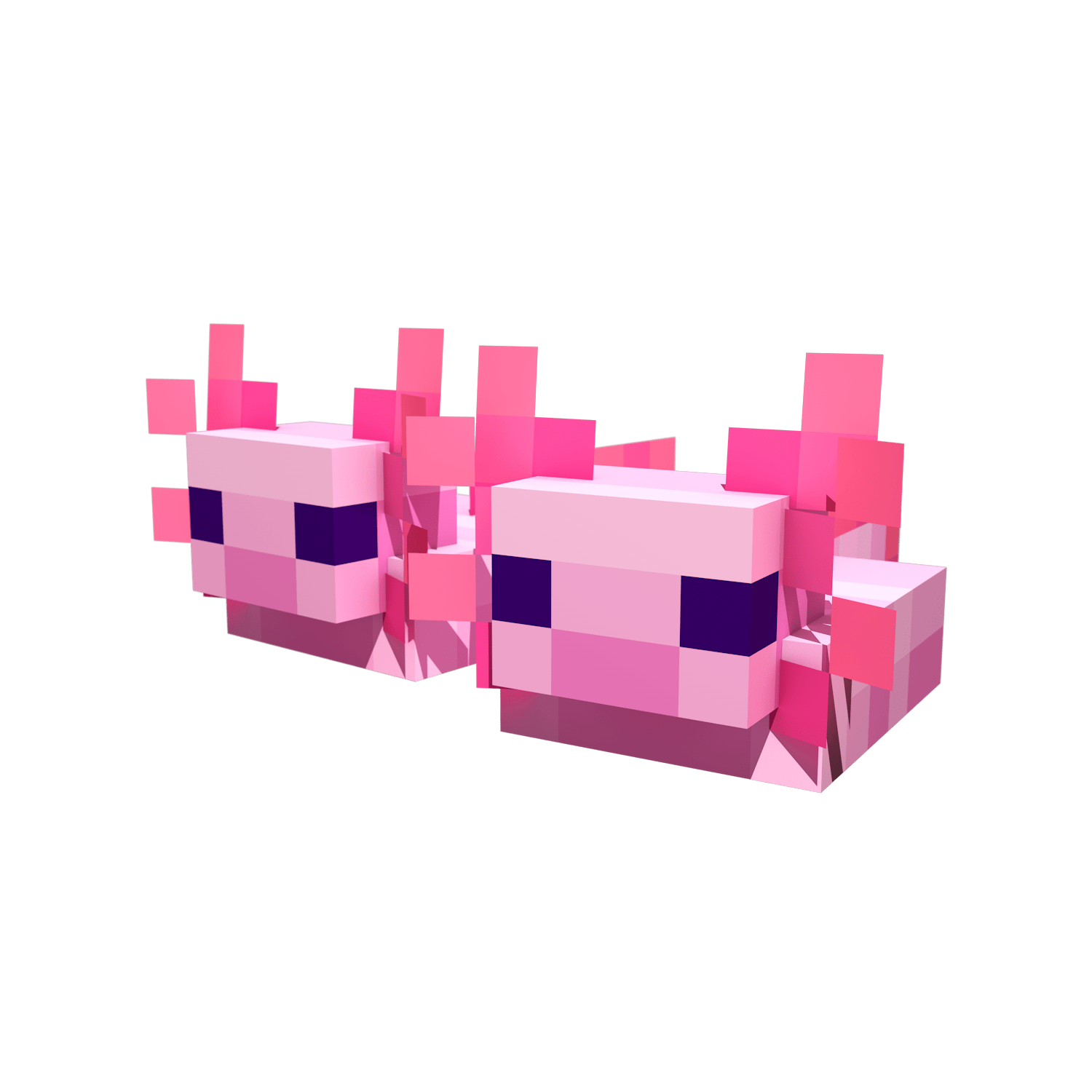 Animal Shoes LabyMod Cosmetic