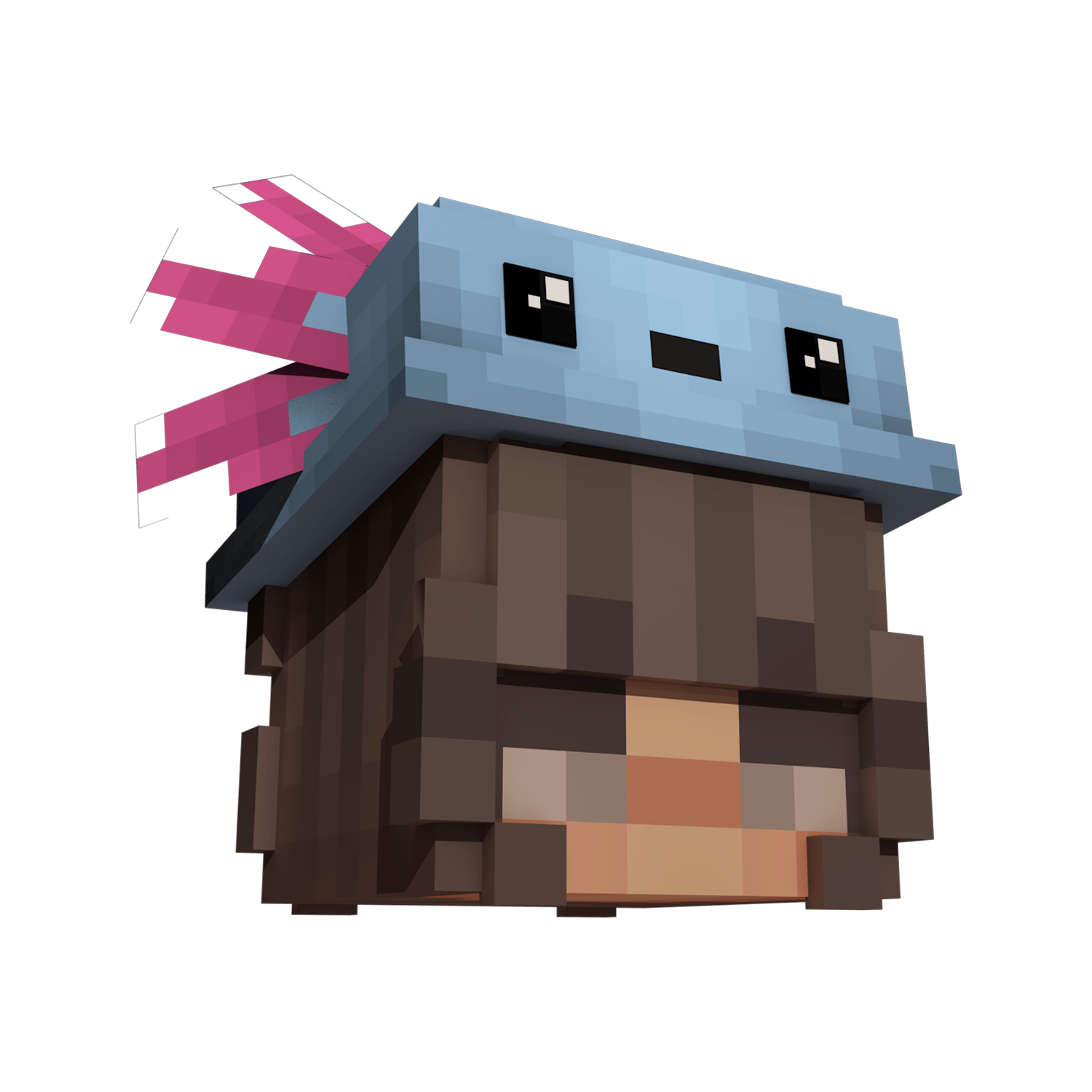 Axolotl Hat LabyMod Cosmetic